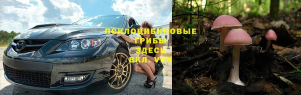 сатива Абаза